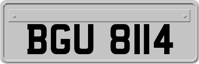 BGU8114