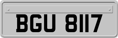 BGU8117