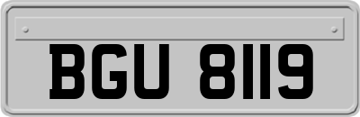 BGU8119