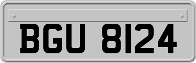 BGU8124