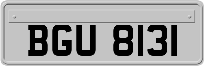 BGU8131