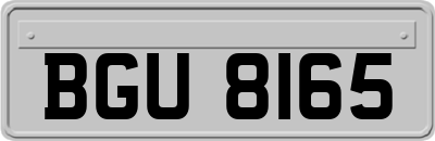 BGU8165