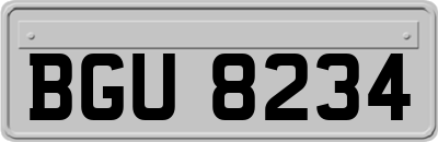 BGU8234