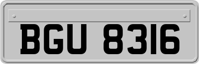BGU8316