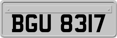 BGU8317