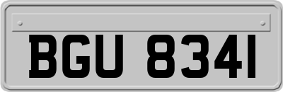 BGU8341