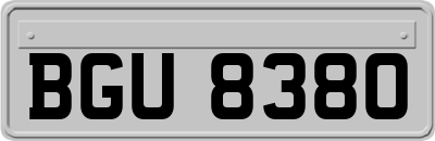 BGU8380