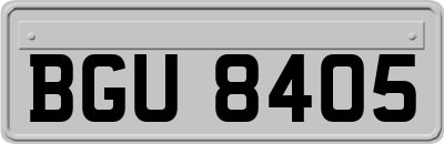 BGU8405