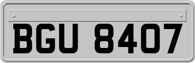 BGU8407