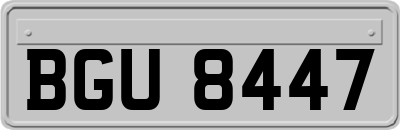 BGU8447