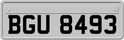 BGU8493