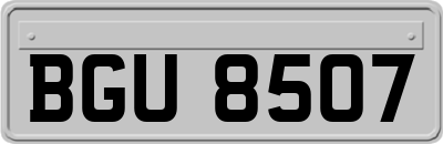 BGU8507