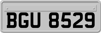 BGU8529