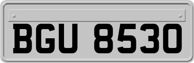 BGU8530