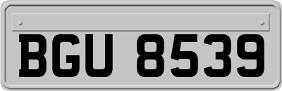 BGU8539