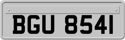 BGU8541