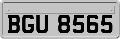 BGU8565