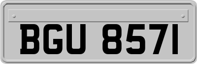 BGU8571