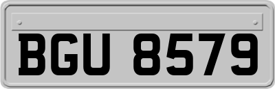 BGU8579