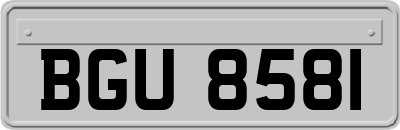BGU8581