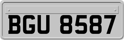 BGU8587