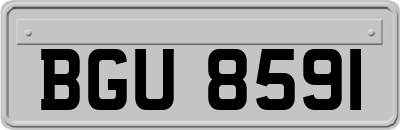 BGU8591