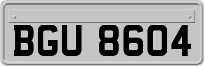 BGU8604