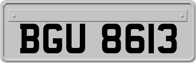 BGU8613