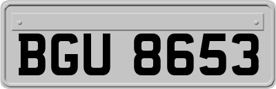BGU8653