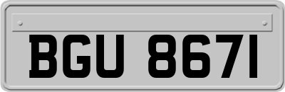 BGU8671