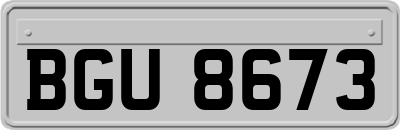 BGU8673