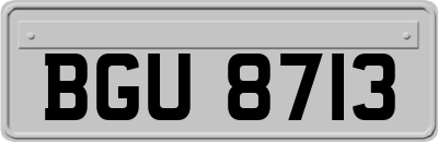 BGU8713