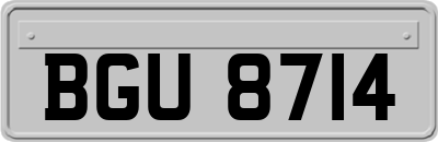 BGU8714