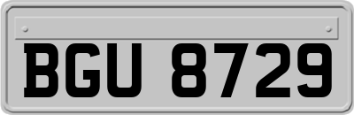BGU8729