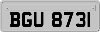 BGU8731