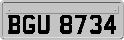 BGU8734