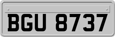 BGU8737