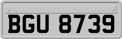 BGU8739