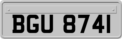 BGU8741