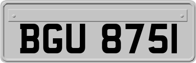 BGU8751