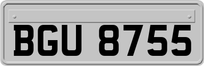 BGU8755
