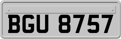 BGU8757