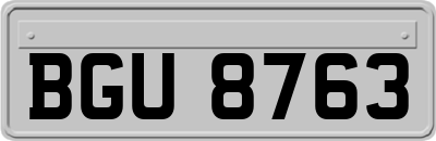BGU8763