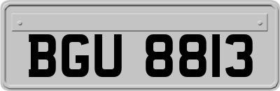 BGU8813