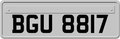 BGU8817