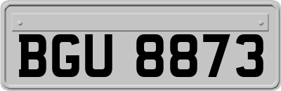 BGU8873