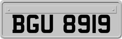 BGU8919