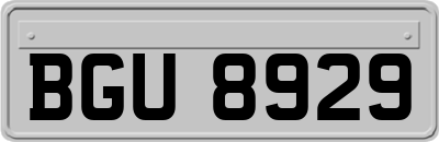 BGU8929