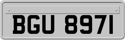 BGU8971