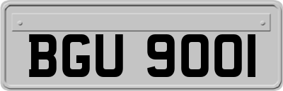 BGU9001